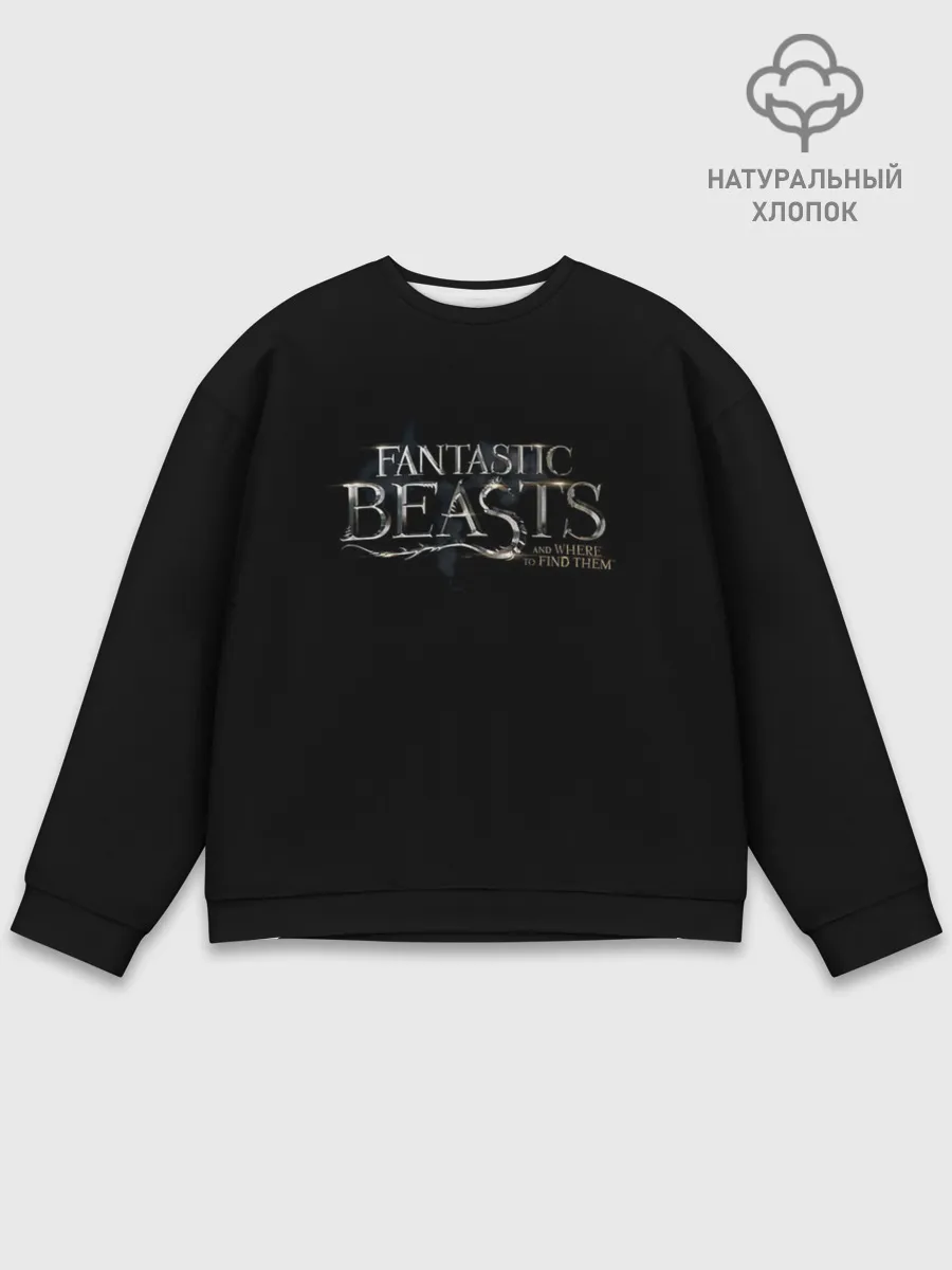 Мужской свитшот базовый / Fantastic Beasts