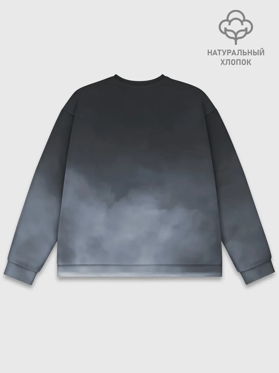 Мужской свитшот базовый / Alan Walker