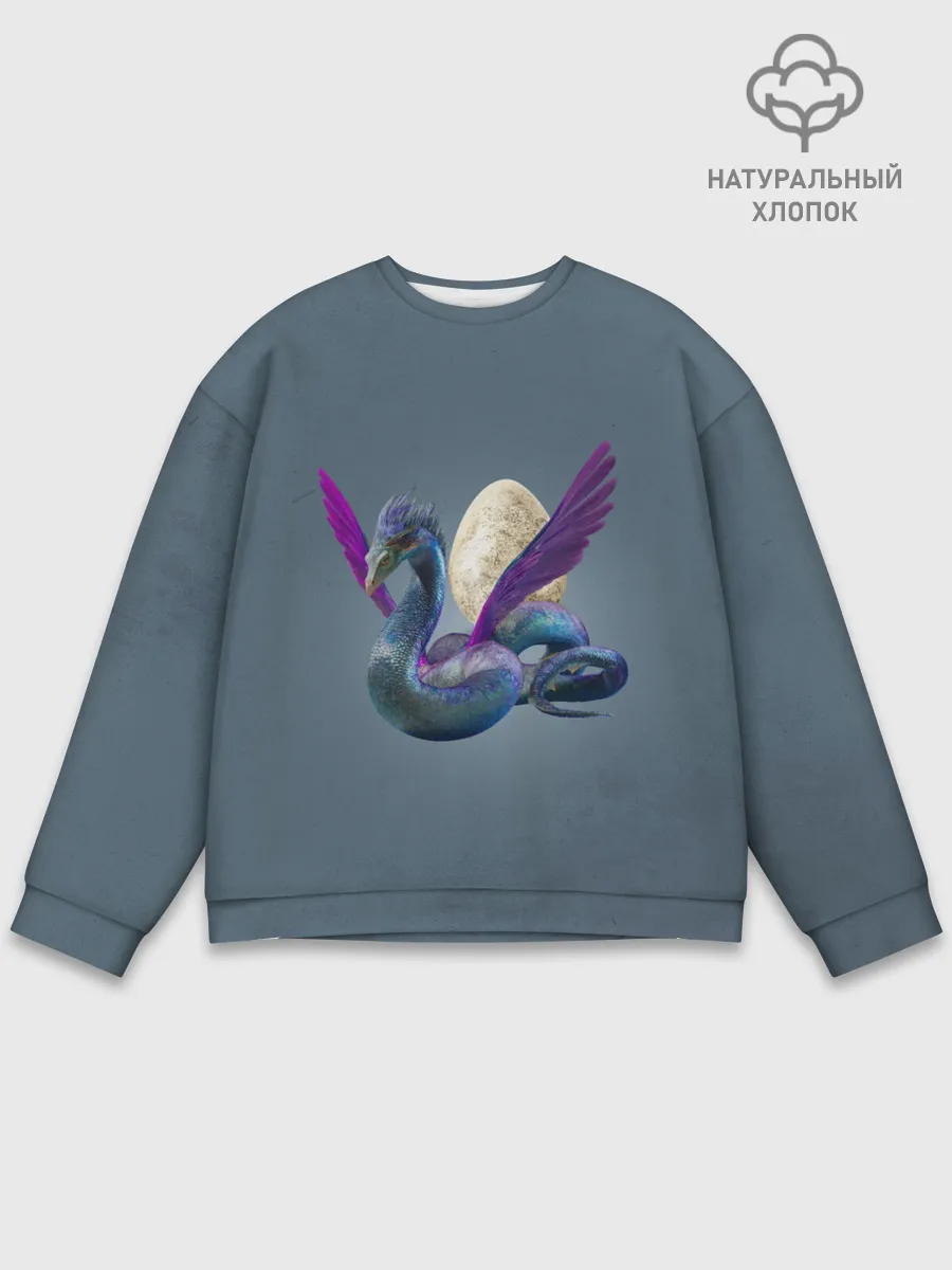 Мужской свитшот базовый / OCCAMY