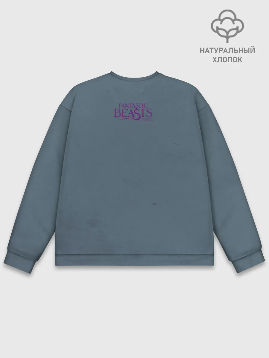 Мужской свитшот базовый / OCCAMY