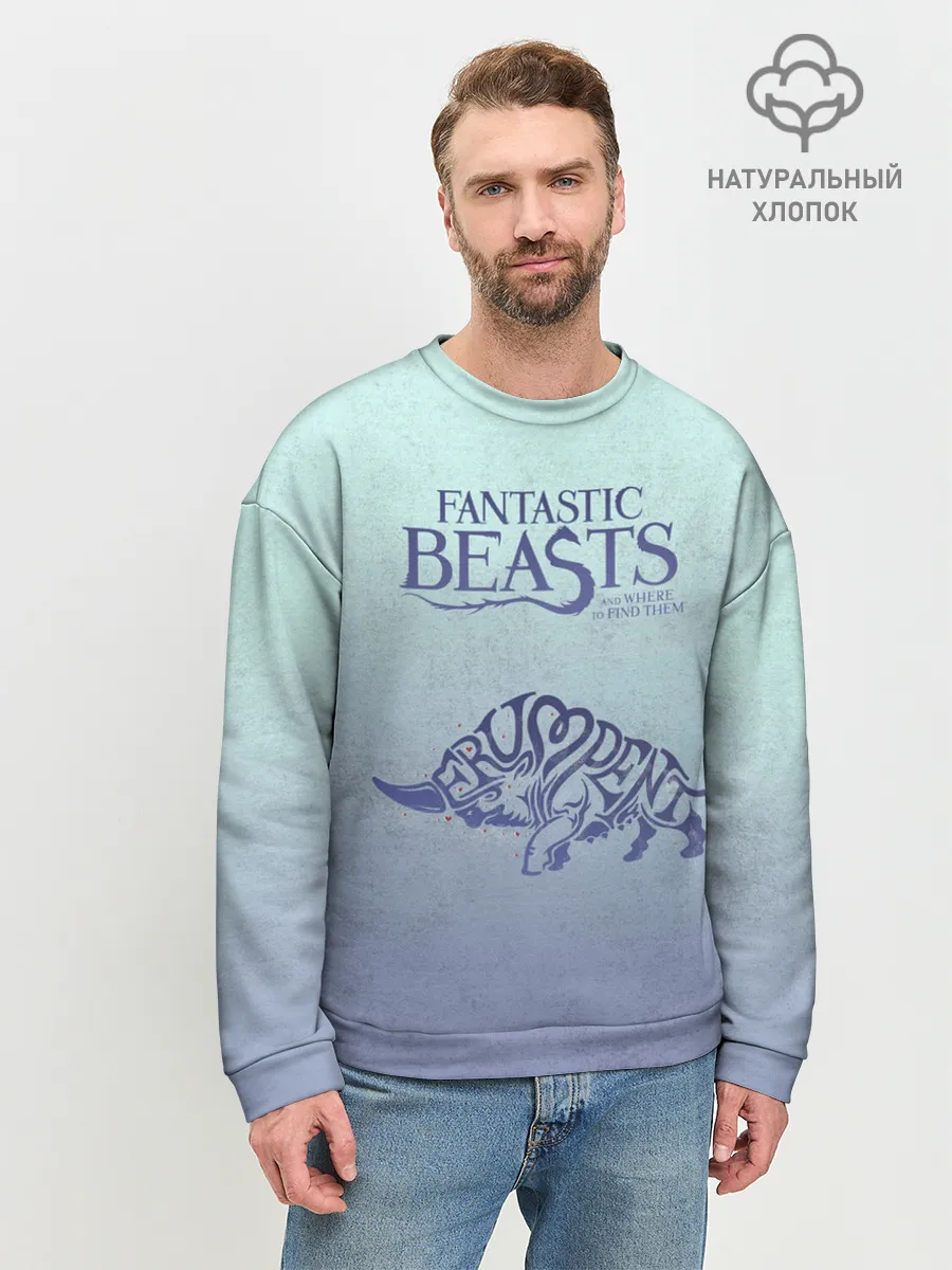 Мужской свитшот базовый / Erumpent