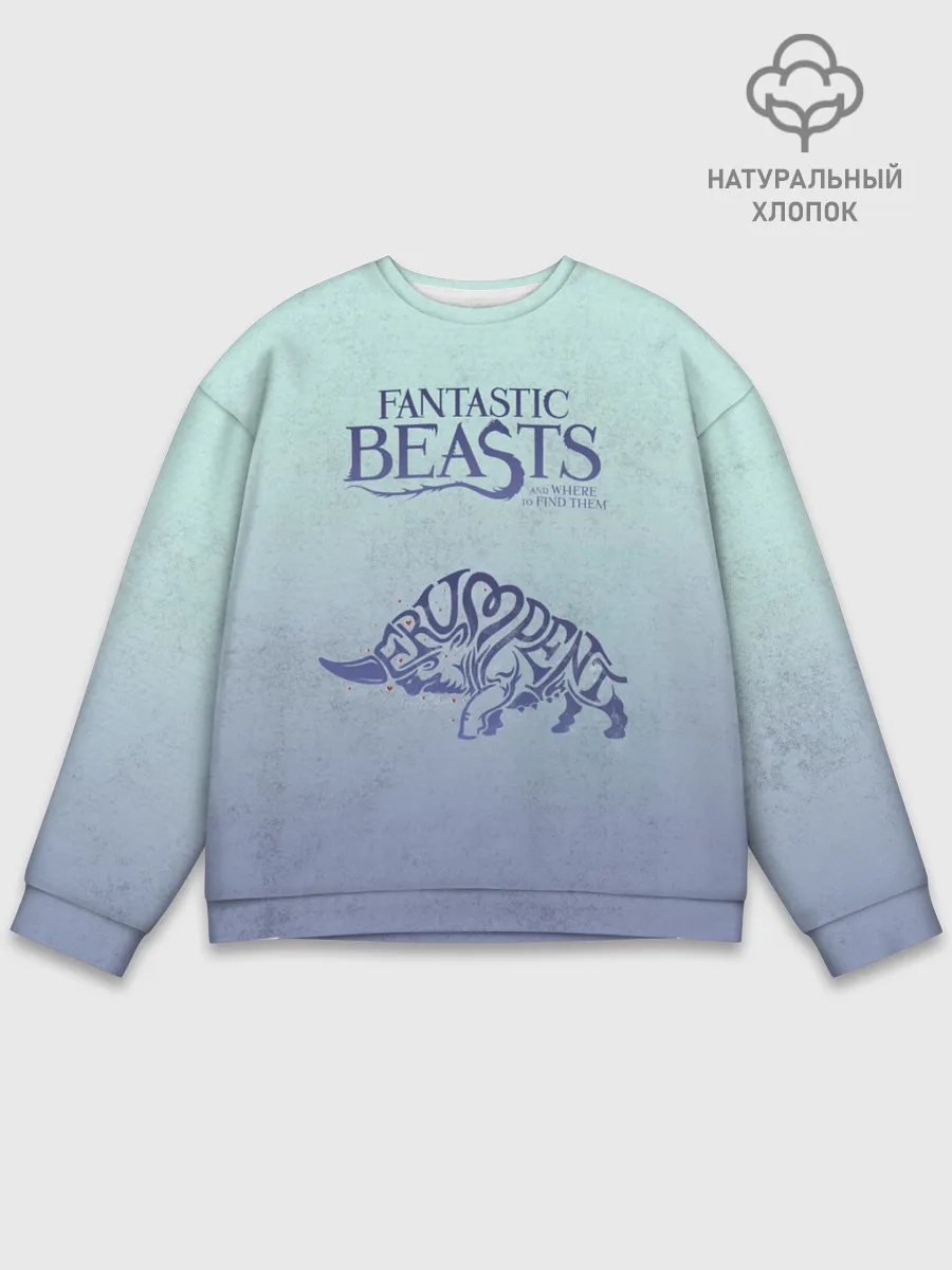 Мужской свитшот базовый / Erumpent