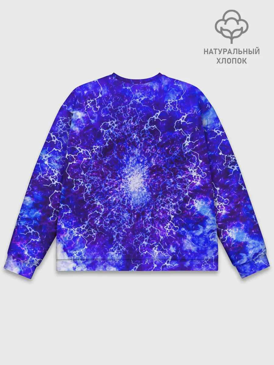 Мужской свитшот базовый / Sonic | Молнии