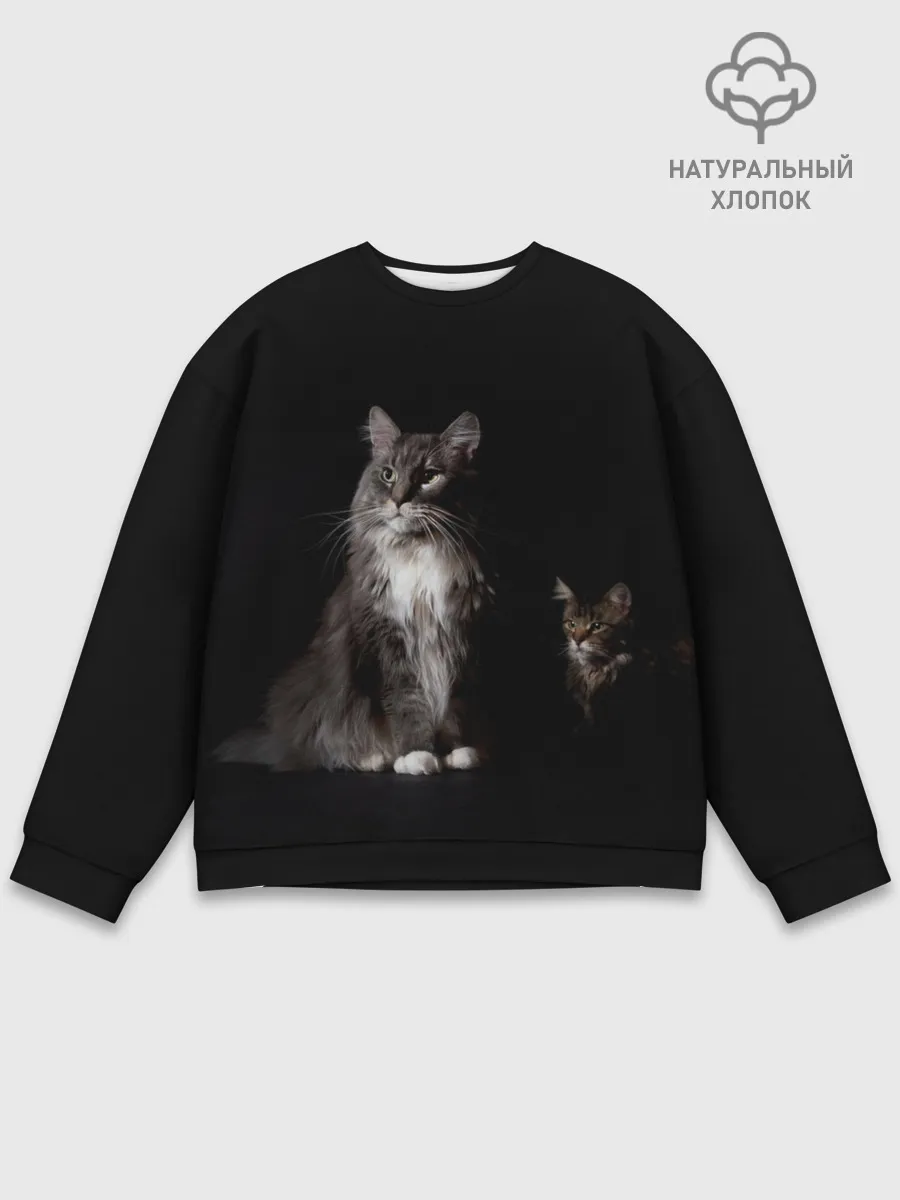 Мужской свитшот базовый / Котики