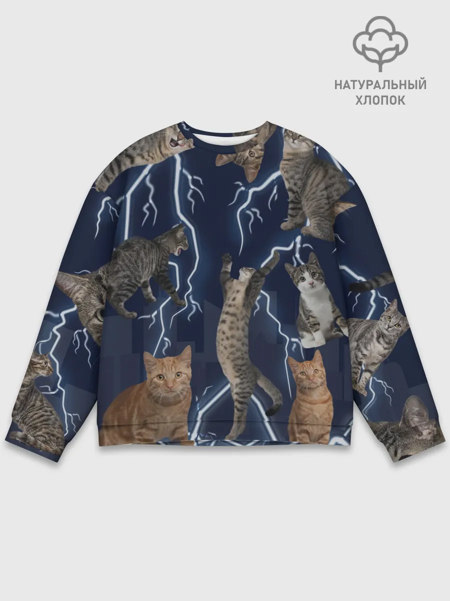 Мужской свитшот базовый / Коты