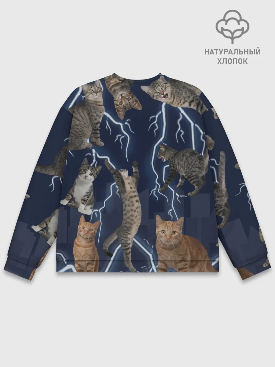 Мужской свитшот базовый / Коты