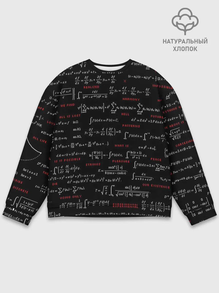 Мужской свитшот базовый / Математические формулы