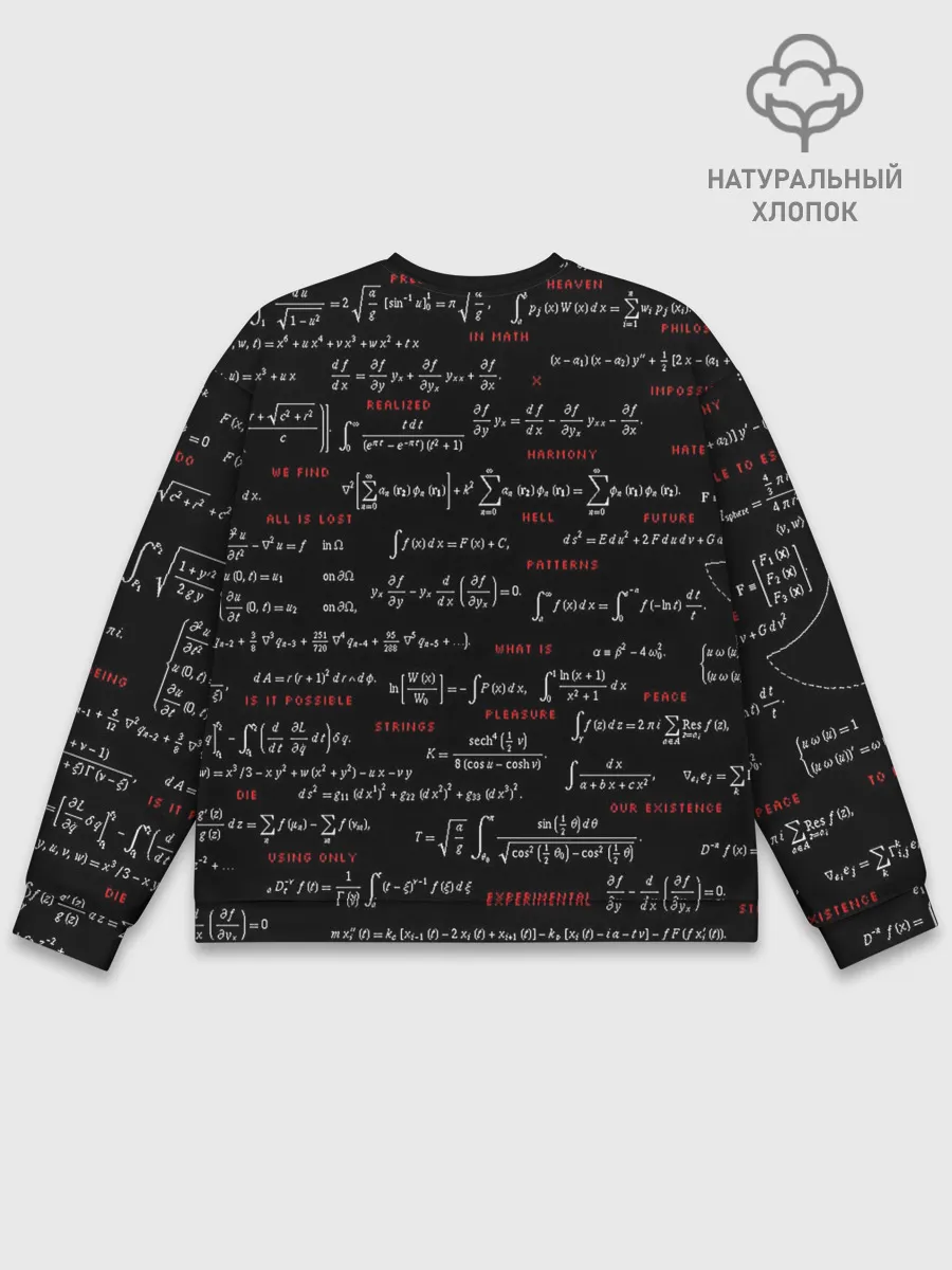 Мужской свитшот базовый / Математические формулы