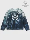 Мужской свитшот базовый / Alan Walker