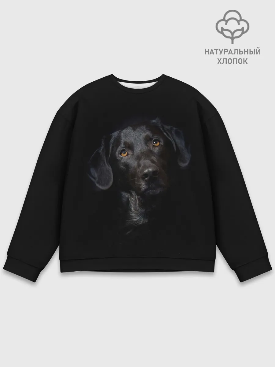 Мужской свитшот базовый / Пес