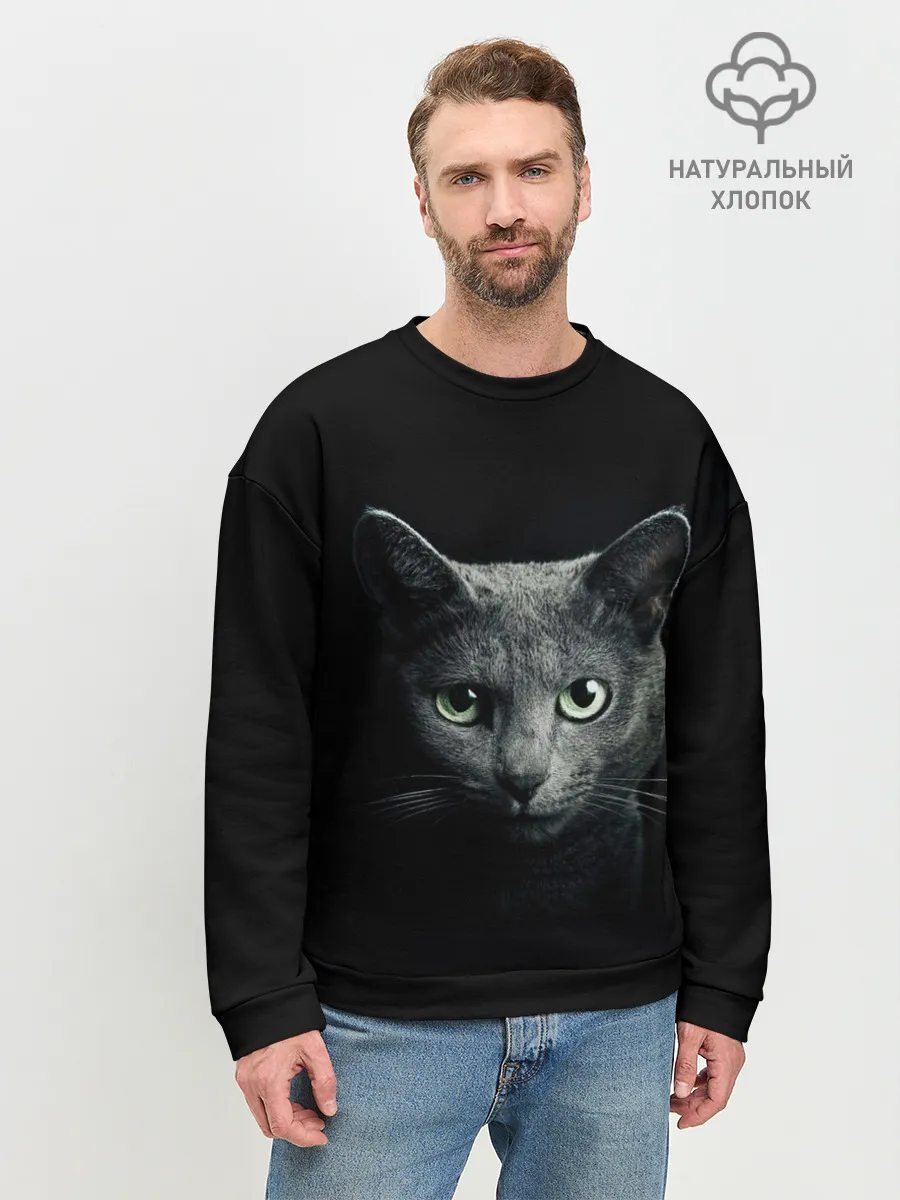 Мужской свитшот базовый / Кот
