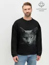 Мужской свитшот базовый / Кот