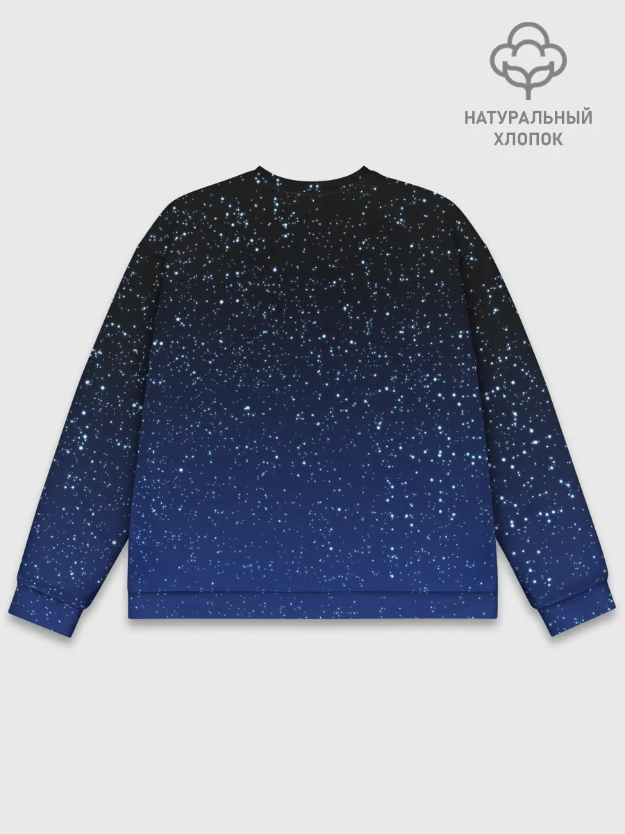 Мужской свитшот базовый / НОЧНОЕ НЕБО