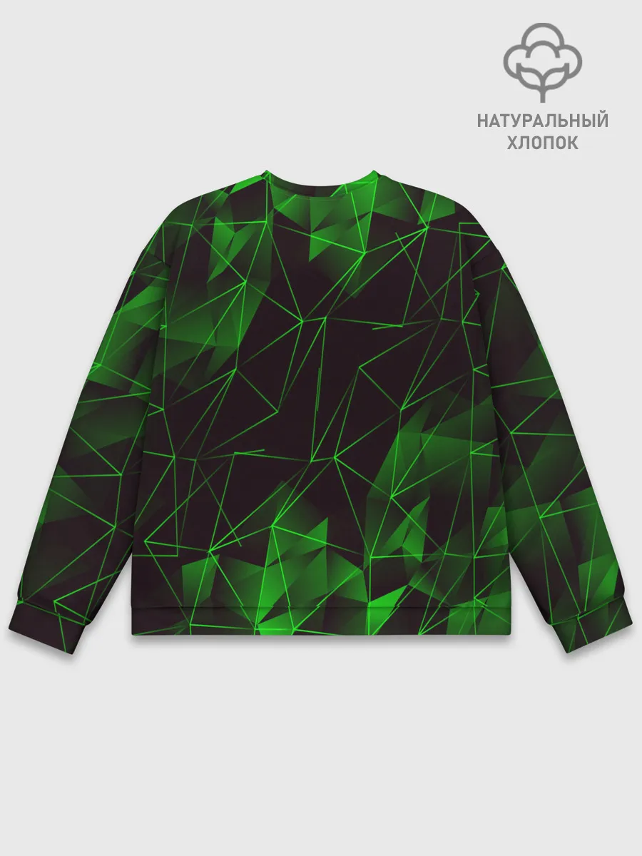 Мужской свитшот базовый / GREEN STRIPES | ЗЕЛЕНАЯ ГЕОМЕТРИЯ