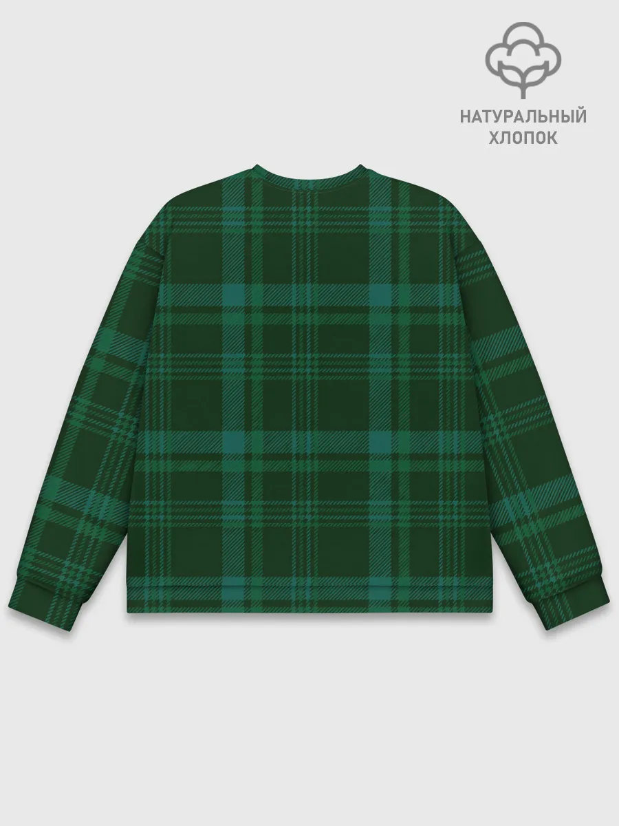 Мужской свитшот базовый / Котёнок в пледе