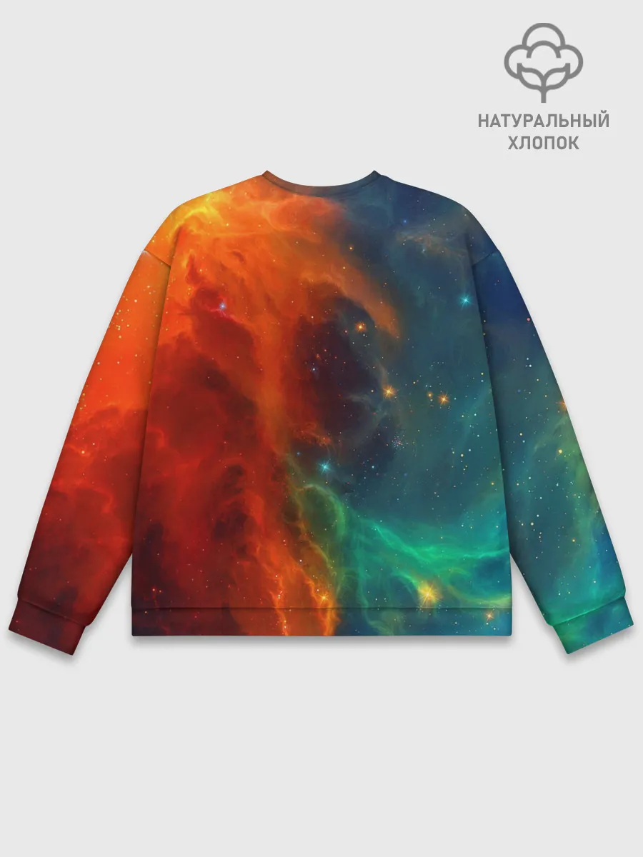 Мужской свитшот базовый / NASA