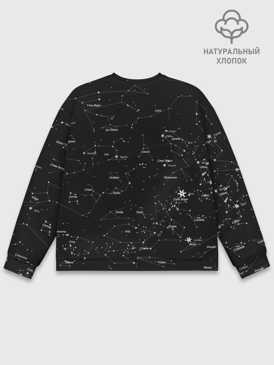 Мужской свитшот базовый / NASA