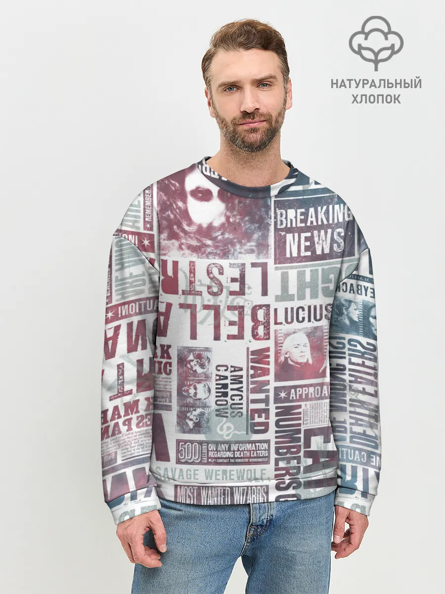 Мужской свитшот базовый / Гарри Поттер