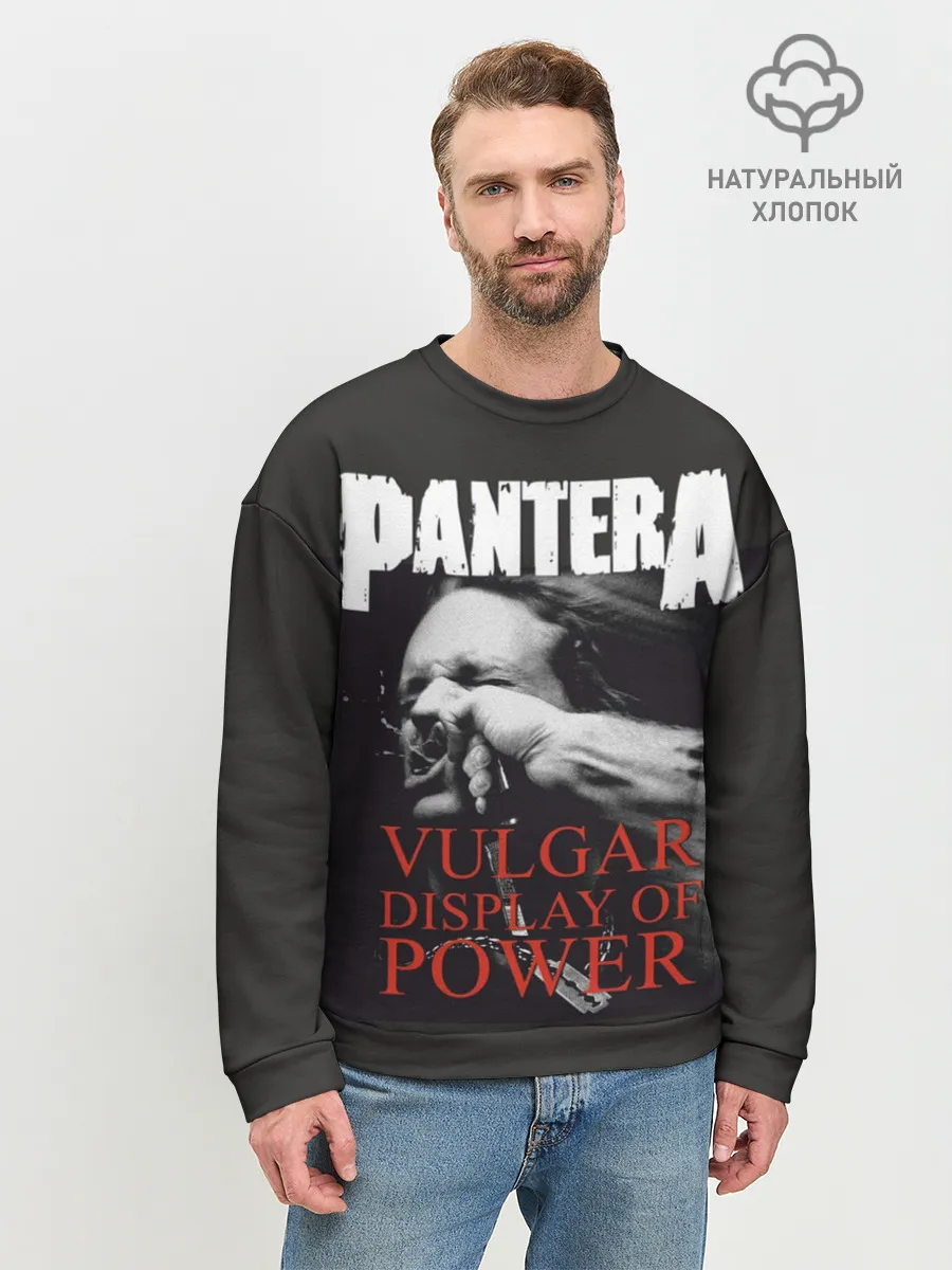 Мужской свитшот базовый / PANTERA VULGAR OF POWER