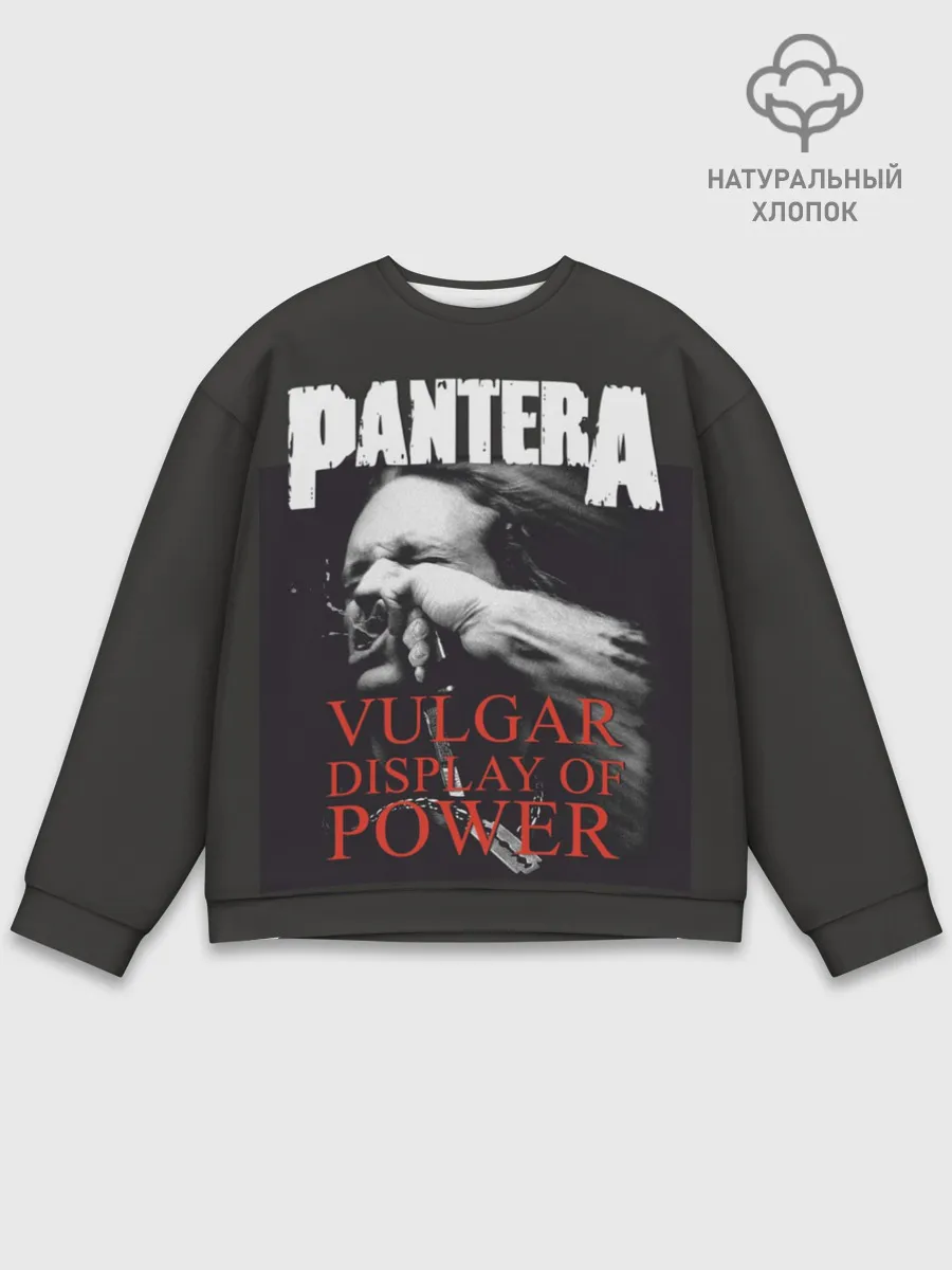 Мужской свитшот базовый / PANTERA VULGAR OF POWER