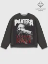 Мужской свитшот базовый / PANTERA VULGAR OF POWER