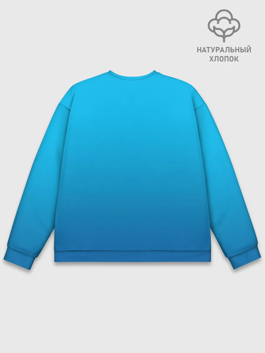 Мужской свитшот базовый / Zima blue