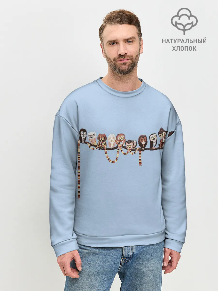 Мужской свитшот базовый / Совы на ветке