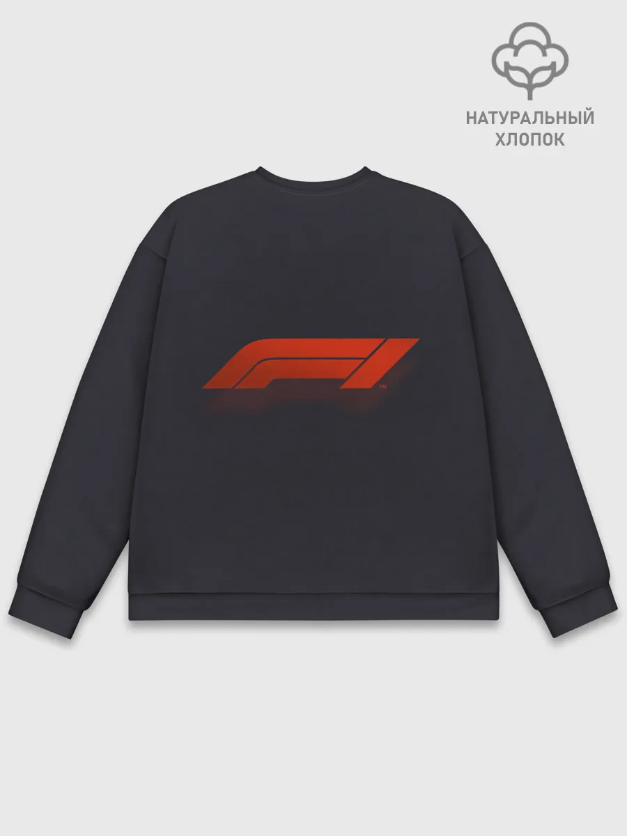 Мужской свитшот базовый / Formula 1