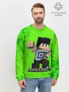 Мужской свитшот базовый / MINECRAFT