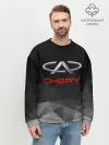 Мужской свитшот базовый / CHERY