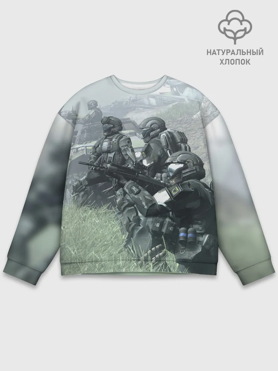 Мужской свитшот базовый / Halo 2