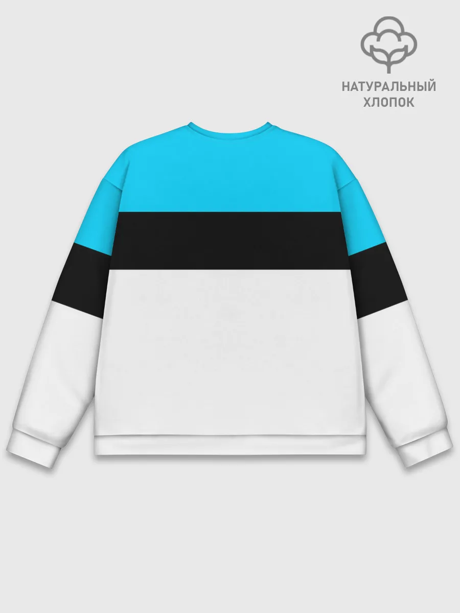 Мужской свитшот базовый / Россия