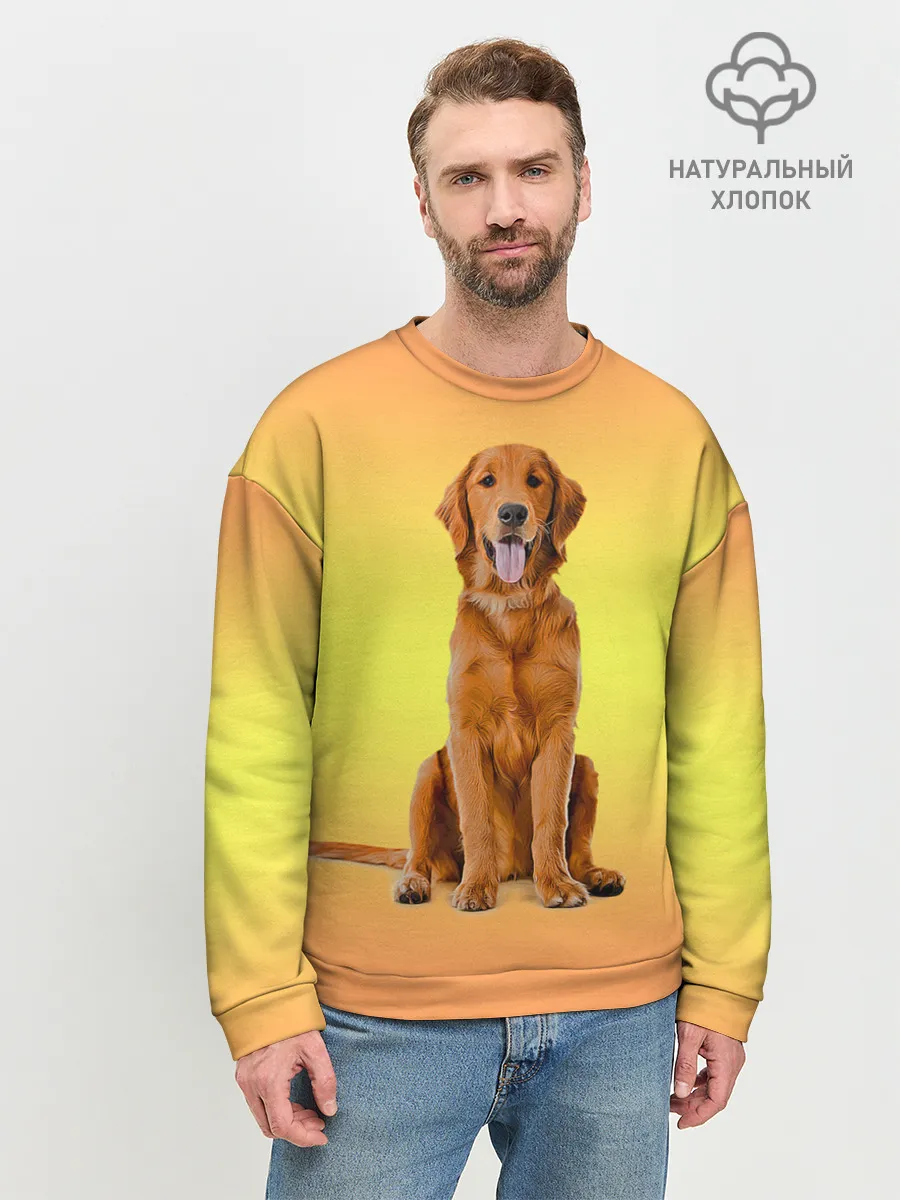 Мужской свитшот базовый / Золотистый ретривер