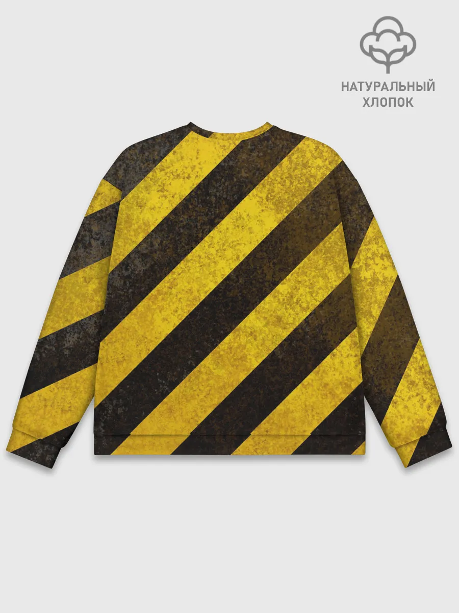 Мужской свитшот базовый / Borussia