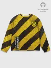 Мужской свитшот базовый / Borussia