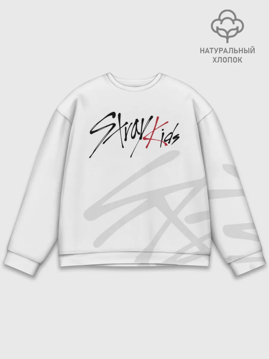 Мужской свитшот базовый / Stray Kids