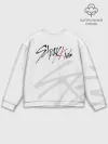 Мужской свитшот базовый / Stray Kids