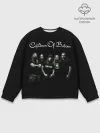 Мужской свитшот базовый / Children of Bodom 3