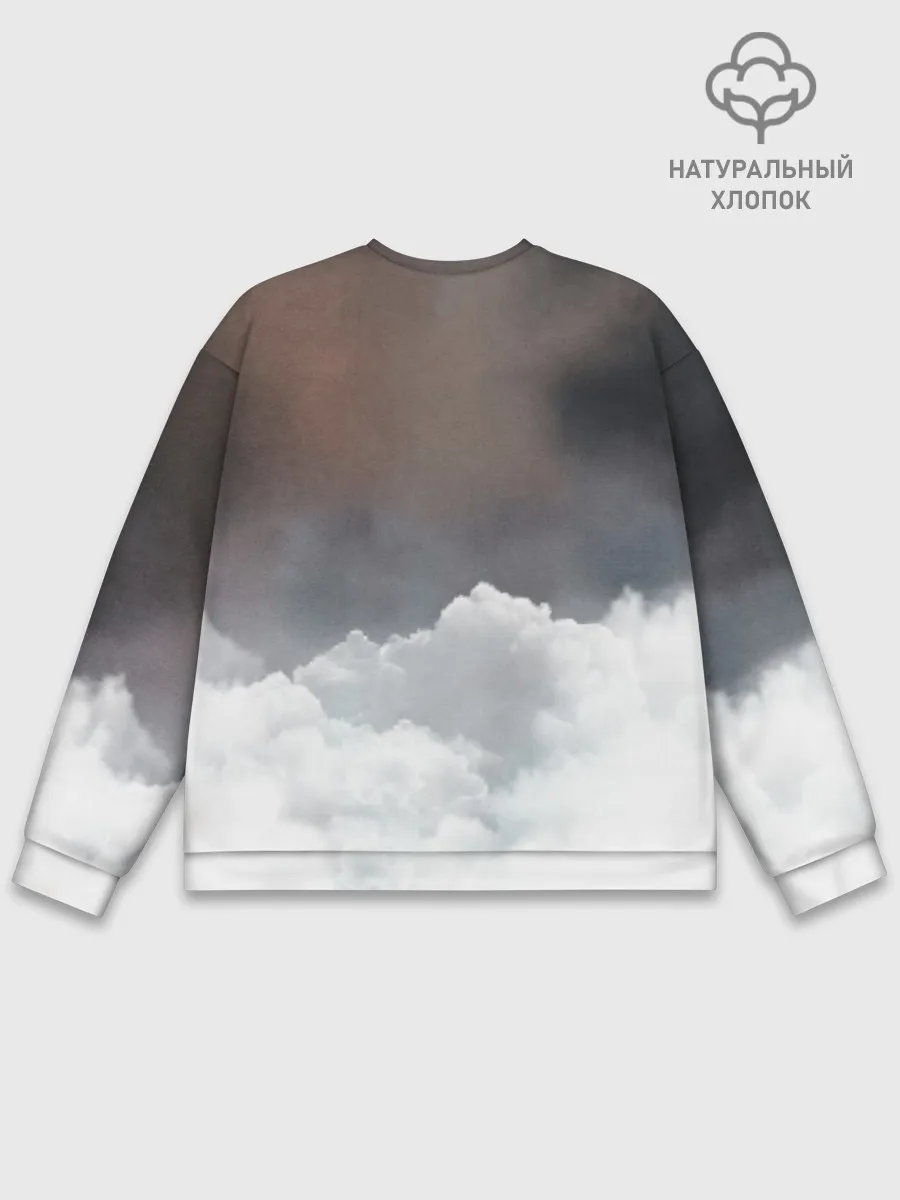 Мужской свитшот базовый / Хроника Тани