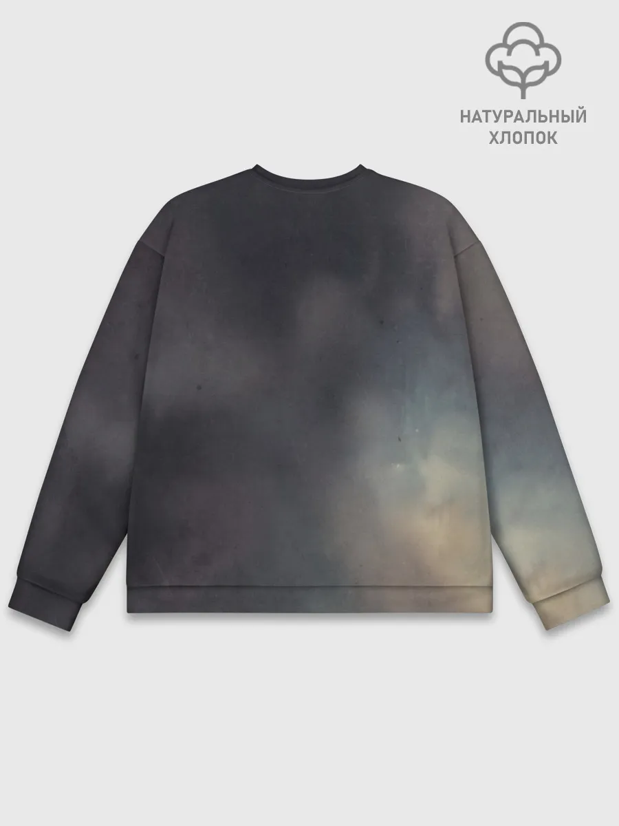 Мужской свитшот базовый / Devil of the Rhine