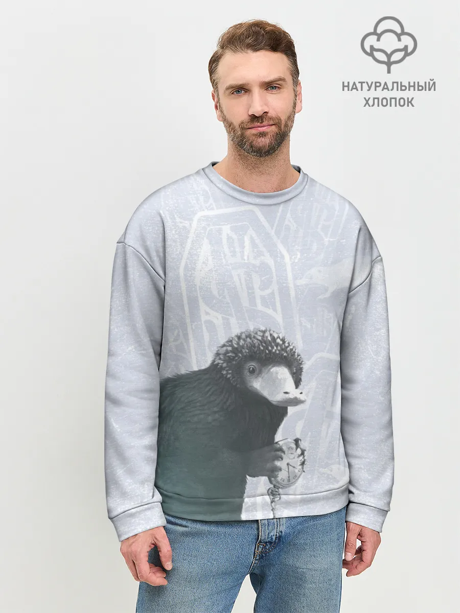 Мужской свитшот базовый / Niffler