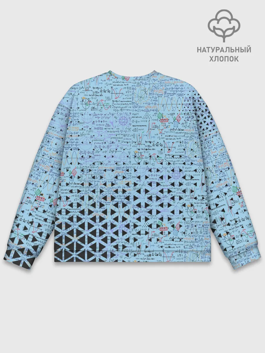 Мужской свитшот базовый / Математика