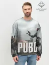 Мужской свитшот базовый / Pubg