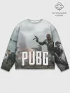 Мужской свитшот базовый / Pubg