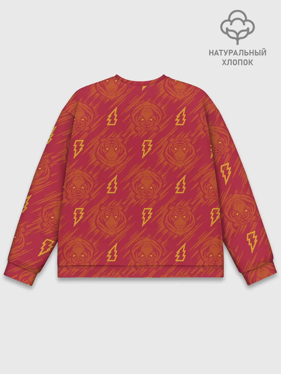 Мужской свитшот базовый / Шазам!