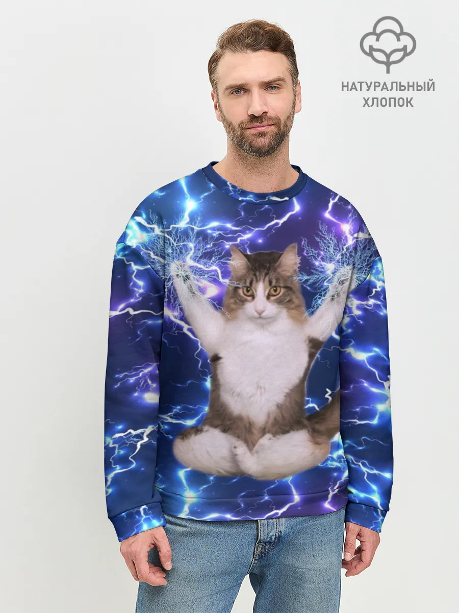 Мужской свитшот базовый / Грозовой Котик