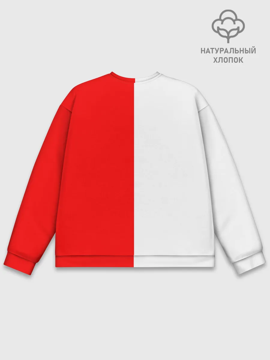 Мужской свитшот базовый / DUCATI [4]