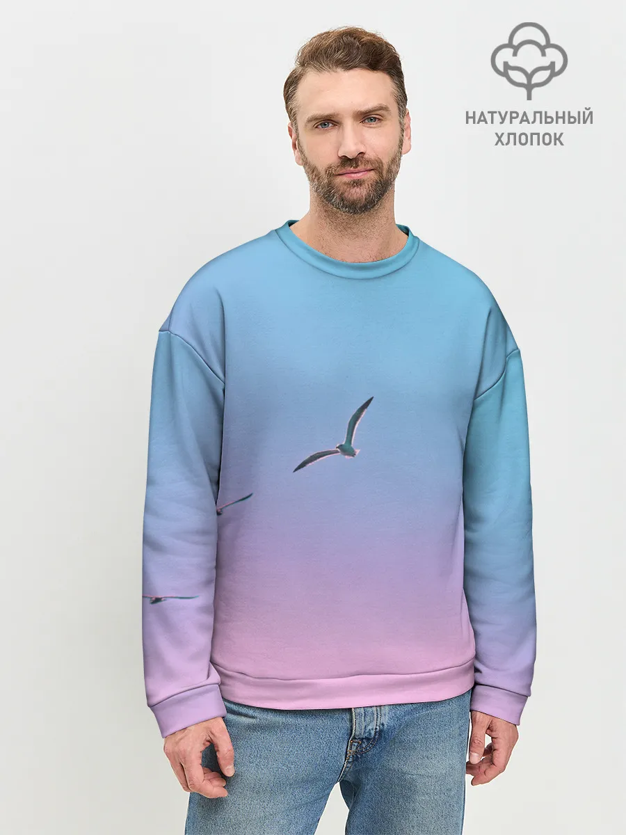 Мужской свитшот базовый / чайки птицы полет градиент