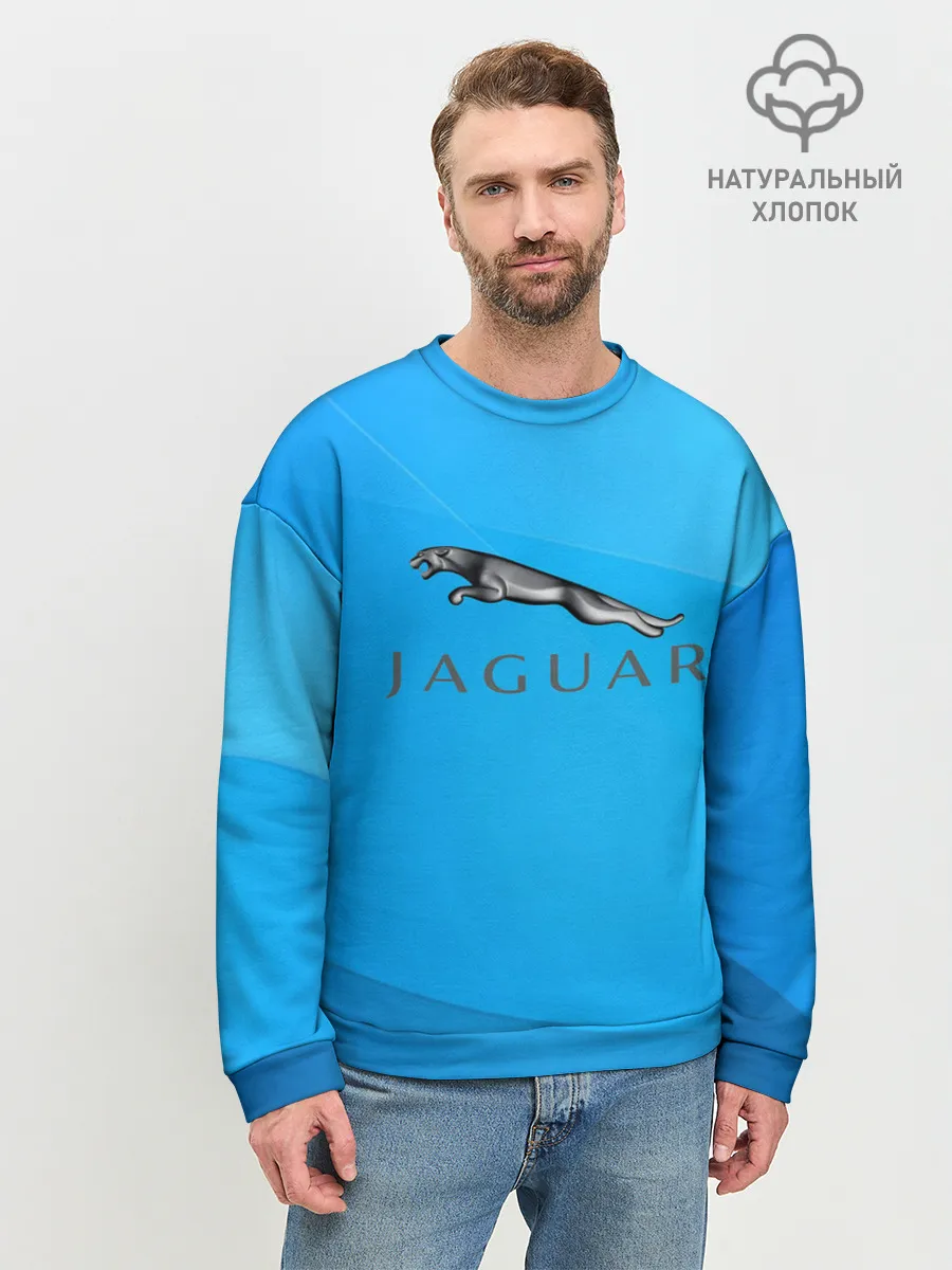 Мужской свитшот базовый / jaguar