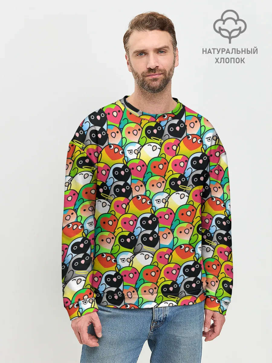Мужской свитшот базовый / Папуги